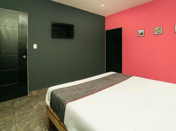 Adhoc Plaza Hotel มอนแตร์เรย์ ภายนอก รูปภาพ